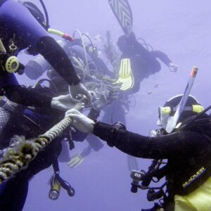 dive, underwater, diver, rope, dew, decompression, waiting time, break, diving equipment diving, scuba divers, decompression, decompression, decompression, decompression, decompression, scuba divers