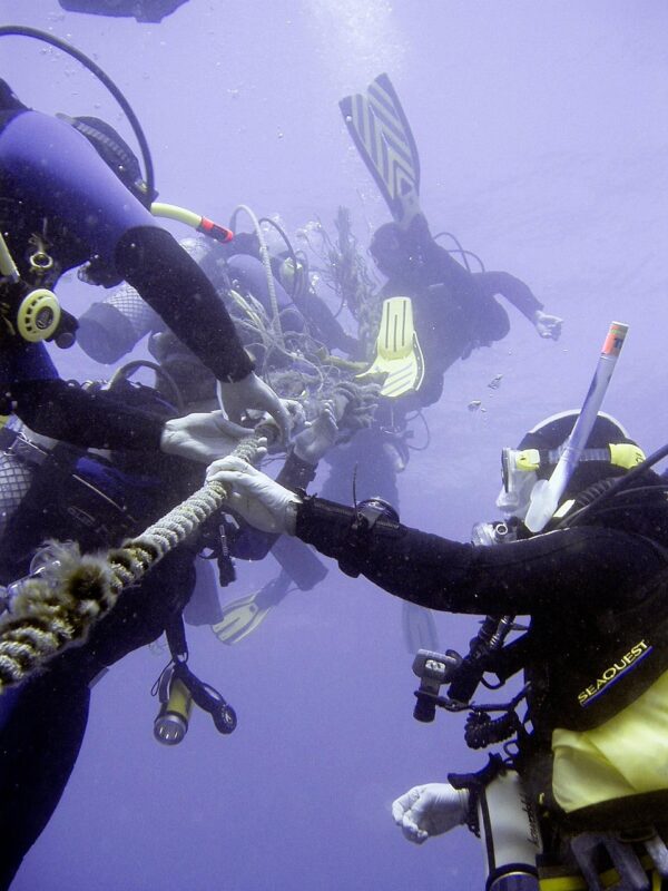 dive, underwater, diver, rope, dew, decompression, waiting time, break, diving equipment diving, scuba divers, decompression, decompression, decompression, decompression, decompression, scuba divers